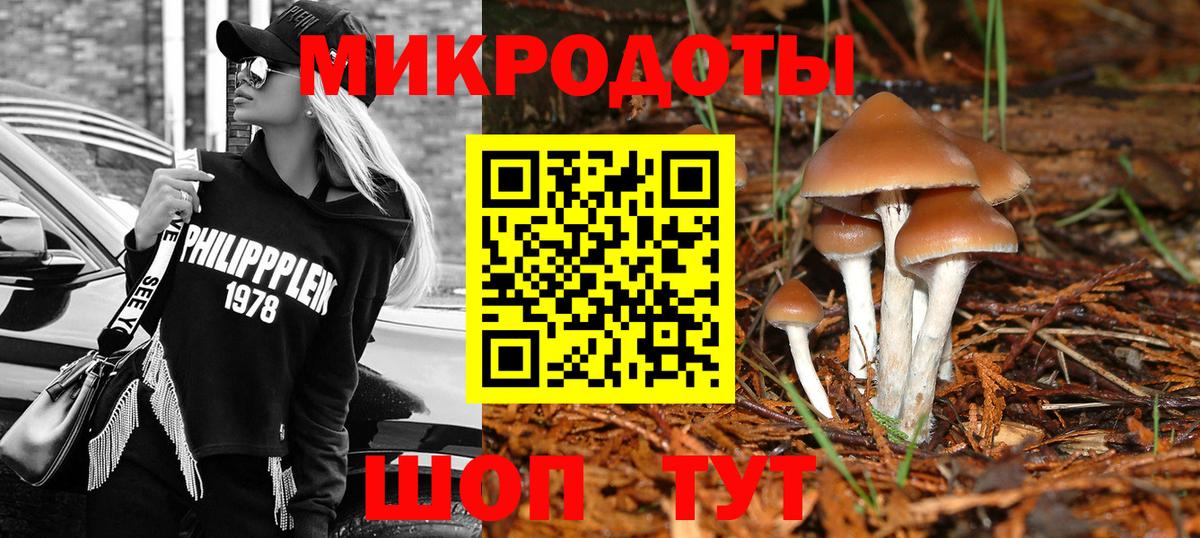 Галлюциногенные грибы Cubensis  Вход с VPN  Новотроицк  Псилоцибиновые грибы прущие грибы 