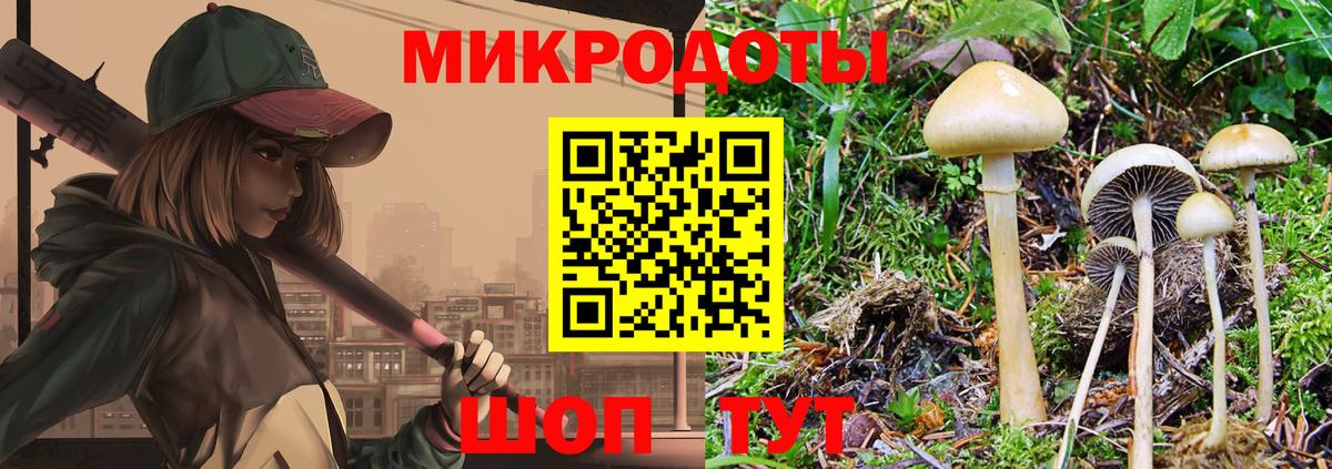 Галлюциногенные грибы Psilocybine cubensis Новотроицк